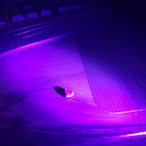 AnAmericanadian's Avatar'