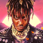 Chimp1n's Avatar'
