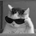 Rlowe.'s Avatar'