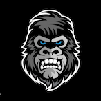 NotGorillaAim.'s Avatar'