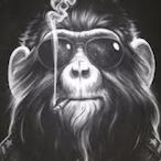 Rivil0119's Avatar'