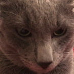 Sugumen's Avatar'
