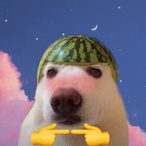 Shrider_01's Avatar'