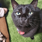 l_____6cm_____l's Avatar'