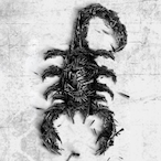 DeLangschlaefer's Avatar'