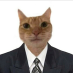 Gaomaoo's Avatar'