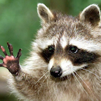 Antonio.......'s Avatar'