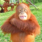The-Avalanche.'s Avatar'