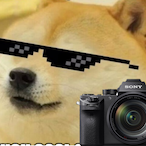 PupiDanKSZ's Avatar'