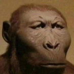 BAZOUL.OAMK's Avatar'