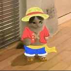 JabotataJR's Avatar'