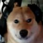 Senor_Crypt's Avatar'