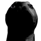 Ketsuyoku.'s Avatar'
