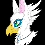DuskyGriffin's Avatar'