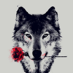 Galahad.TRTK.'s Avatar'