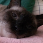 Mr._.Breeze's Avatar