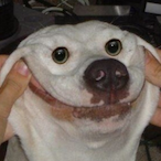 szxrg--'s Avatar'