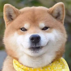 void_swung-_-'s Avatar'