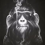 Kenayar's Avatar'