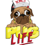 HomelessDog.'s Avatar'