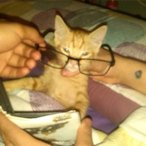 Arnolfcs13's Avatar'