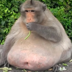 XannFrank1's Avatar'