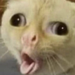 PotatoTomatoSoup's Avatar'