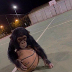 monkeyfucku's Avatar'
