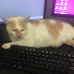 Firelord890's Avatar