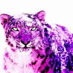 vonvelocity's Avatar'