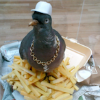 Pigeon.LSD's Avatar'