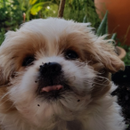 sniffi07's Avatar'