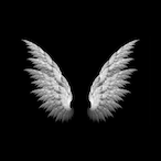 ZeaiI's Avatar'