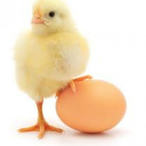 JeffryStopTouchy's Avatar'