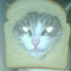 ItsMeZakk's Avatar'