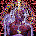 clankercl4per69's Avatar'