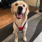 Aug 8 2000's Avatar'