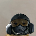 POIZENY's Avatar'