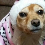 EatCookieMan's Avatar'