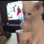 martimdsoa1904's Avatar'