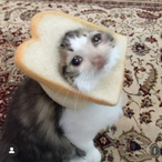 Sad_Bread.'s Avatar'