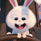 Squirrel_1204's Avatar'
