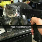 Lilbadass2000's Avatar'