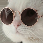 TransWeebNamaste's Avatar'