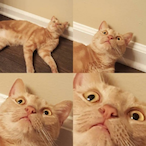 TRIIPPREEEE's Avatar'