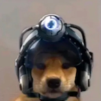 Pocketmean387's Avatar'