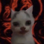 loobsoob's Avatar'