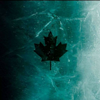 Illuminnum's Avatar'