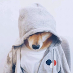 ZhangJin_0424's Avatar'