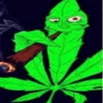 Starzy_High's Avatar'